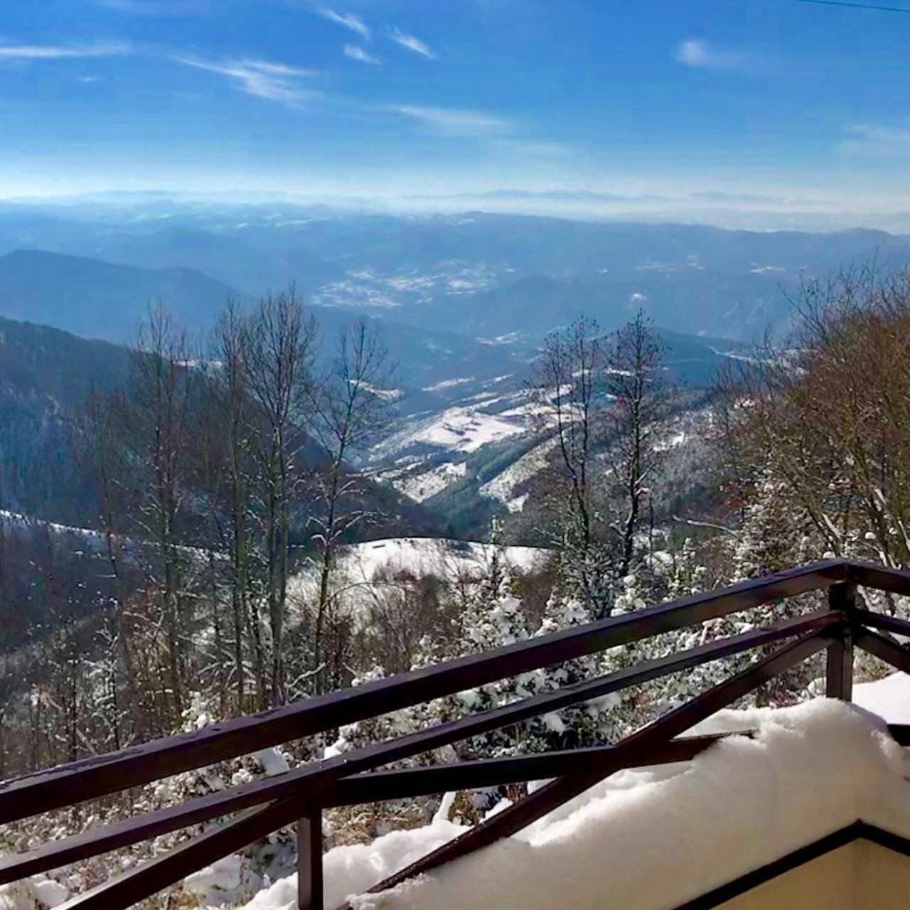 Apartman D52 Dvori Kopaonik Exterior foto